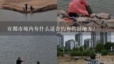 宜都市境内有什么适合钓鱼的好地方?