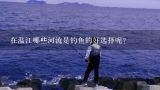 在温江哪些河流是钓鱼的好选择呢?