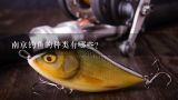 南京钓鱼的种类有哪些?