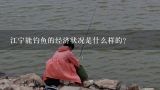 江宁能钓鱼的经济状况是什么样的?