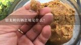 银龙鲤的栖息地是什么?