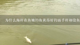 为什么海杆在鱼塘钓鱼黄昂好钓而手杆却没鱼上钩钓不到？