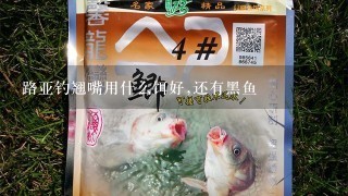 路亚钓翘嘴用什么饵好,还有黑鱼