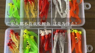 广东人都不喜欢吃鲤鱼 这是为什么？