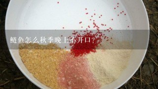 鲢鱼怎么秋季晚上不开口？