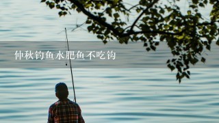 仲秋钓鱼水肥鱼不吃钩