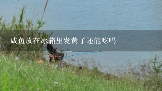 咸鱼放在冰箱里发黄了还能吃吗