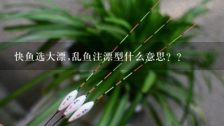 快鱼选大漂,乱鱼注漂型什么意思？？