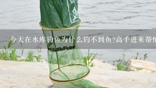 今天在水库钓鱼为什么钓不到鱼?高手进来帮忙解答!200分