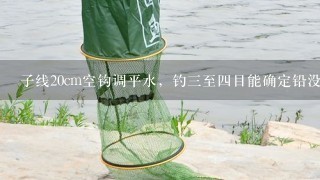 子线20cm空钩调平水，钓3至4目能确定铅没沉底吗？