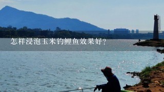 怎样浸泡玉米钓鲤鱼效果好？