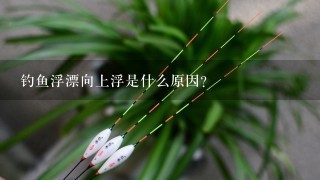 钓鱼浮漂向上浮是什么原因？