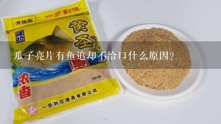 瓜子亮片有鱼追却不给口什么原因？