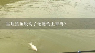 雷蛙黑鱼脱钩了还能钓上来吗？