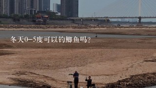 冬天0-5度可以钓鲫鱼吗？