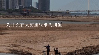 为什么在大河里很难钓到鱼