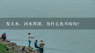 发大水，河水浑浊，为什么鱼不咬钩？