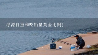 浮漂自重和吃铅量黄金比例？