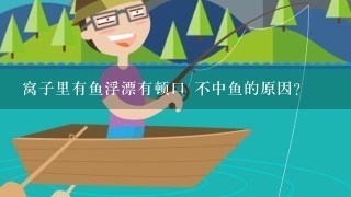 窝子里有鱼浮漂有顿口 不中鱼的原因？