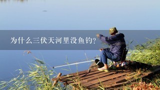 为什么3伏天河里没鱼钓？