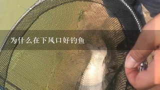 为什么在下风口好钓鱼