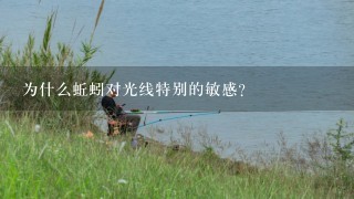 为什么蚯蚓对光线特别的敏感？