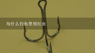 为什么钓鱼禁用红虫