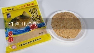 干牛粪可钓鱼吗？