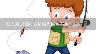 强光照_不跑?还是弱光照鱼不跑?