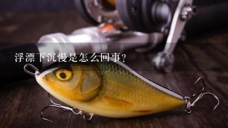 浮漂下沉慢是怎么回事？