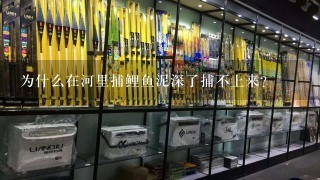 为什么在河里捕鲤鱼泥深了捕不上来？