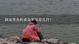 路亚黑鱼的黄金季节是几月？