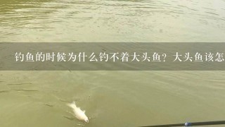 钓鱼的时候为什么钓不着大头鱼？大头鱼该怎么钓？