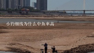 小钓细线为什么中鱼率高