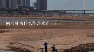 回形针为什么能浮水面上？