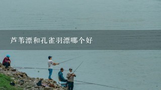 芦苇漂和孔雀羽漂哪个好