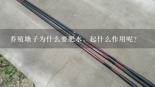 养殖塘子为什么要肥水，起什么作用呢？