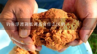 钓鱼浮漂调低调高有什么区别