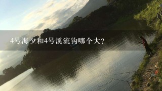 4号海夕和4号溪流钩哪个大？