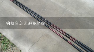 钓鲫鱼怎么避免鲢鳙？