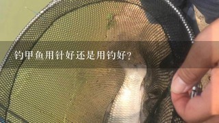 钓甲鱼用针好还是用钓好？