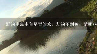 野钓中窝中鱼星冒的欢，却钓不到鱼，是哪些地方出了