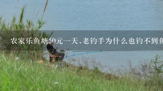 农家乐鱼塘50元1天,老钓手为什么也钓不到鱼?