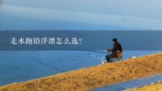 走水跑铅浮漂怎么选？