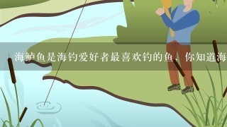 海鲈鱼是海钓爱好者最喜欢钓的鱼，你知道海钓鲈鱼有