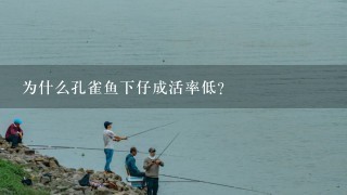 为什么孔雀鱼下仔成活率低？