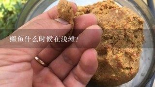 鳜鱼什么时候在浅滩？