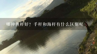 哪种鱼杆好？手杆和海杆有什么区别呢