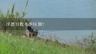 浮漂目数多少区别？