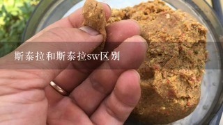 斯泰拉和斯泰拉sw区别